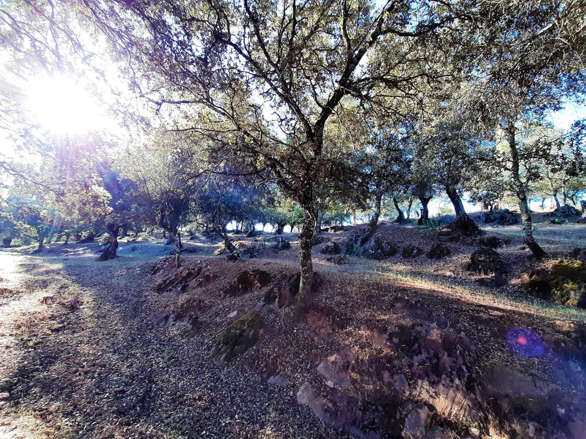 Casa Rural Gurumelo Aracena Luaran gambar